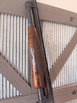 1930 Winchester Model 12 Factory Cuts - Image 4 of 17