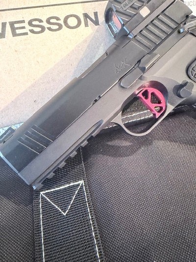 Dan Wesson DWX compact with Holosun Red dot - Image 7 of 13