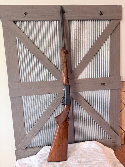 Excellent Norinco ATD 22 LR, Browning copy - Image 8 of 20