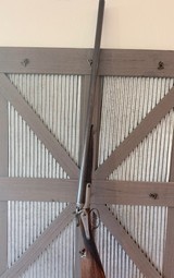Beautiful Early George Gibbs 12 gauge sxs hammers - Image 1 of 20