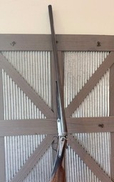 Beautiful Early George Gibbs 12 gauge sxs hammers - Image 5 of 20