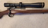 .204 Ruger Varmint - 4 of 4