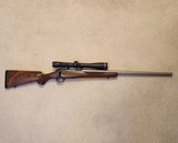 .204 Ruger Varmint