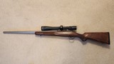 .204 Ruger Varmint - 2 of 4