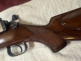 Winchester model 52 sporting .22 - 12 of 15