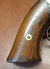 Newhaven Arms Volcanic - 12 of 13