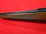 Winchester 70 sporter varmint HB 243 - 8 of 13