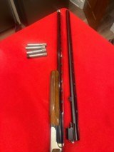 PERAZZI TM1 ENGRAVED - 8 of 14