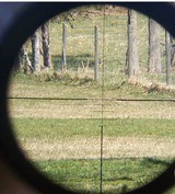 Leupold Vx-III 6.5-20x40mm Long Range Rifle Scope - 10 of 10