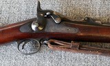 Springfield TrapdoorModel 1888 Rifle with Ram Rod Bayonet in 45-70 - Image 4 of 20