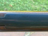 Winchester Model 70 Standard Carbine - 12 of 18