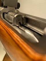 Ruger M77 Varmint Target MKII .243 Win 26