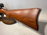 Ruger 10/22 .22 Lr. w/ Red Dot Sight - 8 of 20