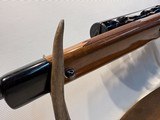 Remington Model 541T .22 LR w/ Burris 4-12x32 Scope - 19 of 23