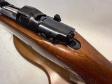 CZ 550 Magnum .416 Rigby w/ 25” Barrel and 300 Yard Rear Sight - 17 of 23