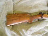 Shelhamer/Wilson custom varmint rifle in 220 Wilson Arrow - 5 of 12