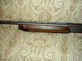 Winchester SX3 20 Gauge - 5 of 5