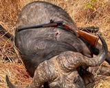 FAUL Belgium .470 NE Double Rifle | JJ Perodeau Regulated | Certified Safari-Ready™ - 16 of 16