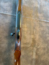 Winchester pre-64 Model 70 .220 Swift - 7 of 7