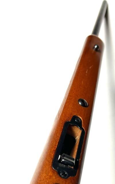 Marlin Model 25MN .22 WMR Bolt Action Rifle – 22