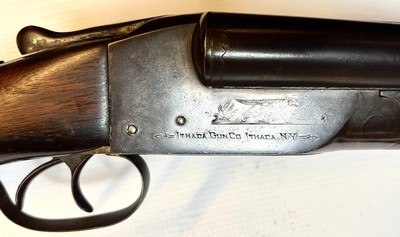 Ithaca 16 Gauge Side-by-Side Double Barrel Shotgun – Dog Scene Engraving – 28