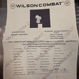 Wilson Combat CQB Elite .45 Carry Melt, Orange Outline Front Sight - 12 of 12