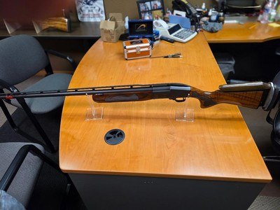 Ljutic Mono 12 gauge