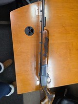 Ljutic 12 Gauge Mono - 6 of 6