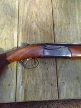 ruger red label 20 ga - 1 of 7