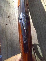 winchester 101 20 ga. 30 inch - 7 of 7