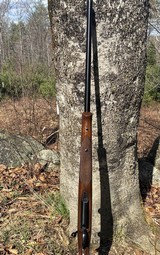 CZ 550 Safari Magnum .375 H&H - Image 3 of 10