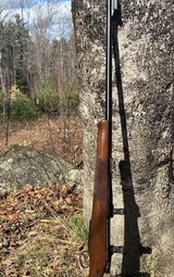 CZ 550 Safari Magnum .375 H&H - Image 2 of 10