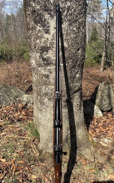 CZ 550 Safari Magnum .375 H&H - Image 4 of 10