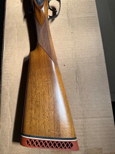 Bernardelli gamecock premier - Image 6 of 9