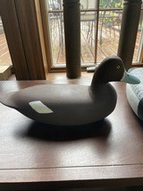 Pair broadbill decoys - 2 of 5