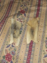 German Luger Real Custom Stag Bone Grips - 4 of 4