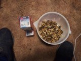 Hornday 9mm 147gr. XTP HP plus 380 New primed Brass