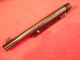 Colt - 1 of 3