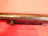 Colt - 2 of 3