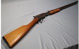 Winchester ~ Model 1906 ~ .22 S,L,LR - 1 of 12