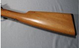 Winchester ~ Model 1906 ~ .22 S,L,LR - 11 of 12