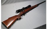 Winchester
Model 70
.22 250 REM