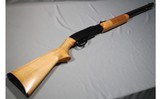 Remington ~ Model 572 Fieldmaster ~ .22 S,L,LR - 1 of 12