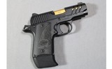 Kimber ~ Micro 9 ESV ~ 9mm Luger