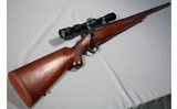 Ruger ~ M77 ~ .243 WIN