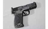 Smith & Wesson ~ M&P10 M2.0 ~ 10mm Auto