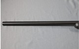 Remington ~ Model 700 ~ .204 Ruger - 6 of 12