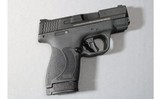 Smith & Wesson ~ M&P9 Shield Plus ~ 9mm Luger