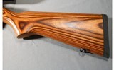 Ruger ~ 10/22 ~ .22 LR - 11 of 12