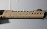 Typhoon Defense ~ XII ~ 12 Gauge - 5 of 13